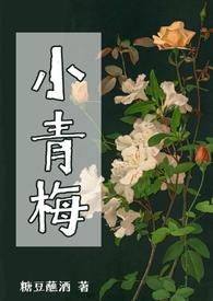 小青梅(np)by糖豆蘸酒