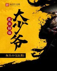 北宋最强大少爷 灰头小宝2笔趣阁