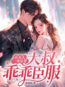 小夫人又美又甜沉