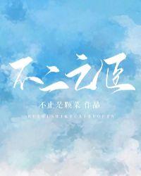 不二之臣女主
