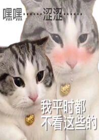 炉甘石使用说明