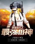 绝地求生之狙击枪神