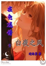 白夜16色