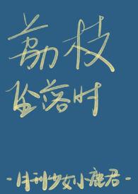 荔枝cpjisoo攻