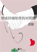 穿为回城知青路人
