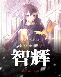 神奇宝贝之智辉 聚合中文网