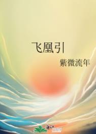 飞凰引紫微流年txt百度