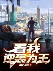 废皇子逆袭为王