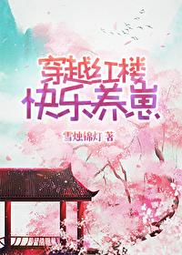 穿越红楼精品文