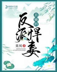 首辅系列