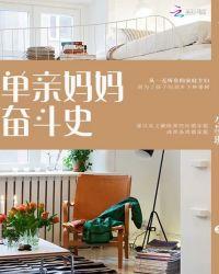 单亲妈妈奋斗记大结局