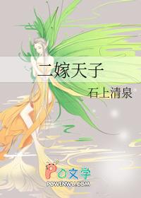 二嫁皇妃免费阅读