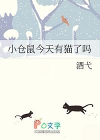 小仓鼠今天有猫了吗26章