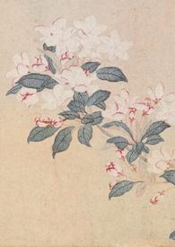 撷春色(强取豪夺)齐澜男主是处吗