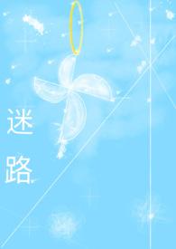 迷路的小花鸭教案