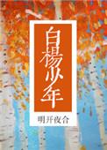白杨少年番外txt百度