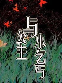 公主嫁给乞丐