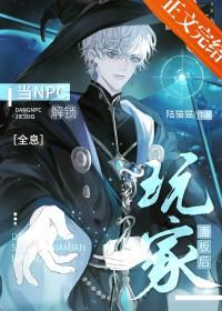 npc怎么搞