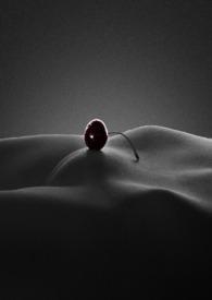 顶风作案po校园全文免费阅读