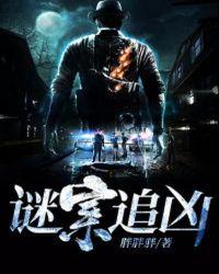 谜案追凶第三季