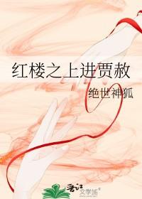 红楼梦之上进贾赦