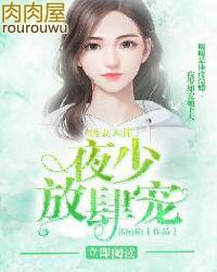 诱妻入怀夜少放肆宠全文免费阅读