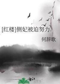 红楼侧妃被迫努力何辞歌免费