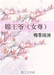 类似锦王爷的女尊