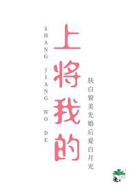 上将的秘密(abo)