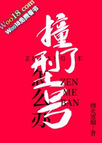 撞了型号怎么办23
