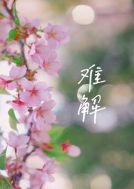难解的意思