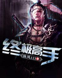 终极高手叶枫百度百科