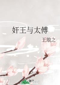 王太傅是什么官
