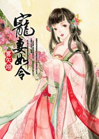 宠妻如令完整版