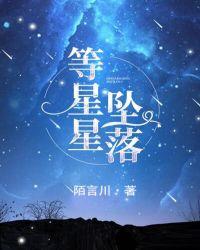 等星星坠落番外