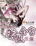 萧傲金宫txt
