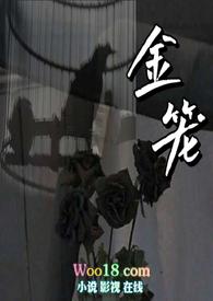 金笼np全文