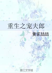 重生之宠夫郎(重生)