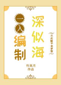 进入编制