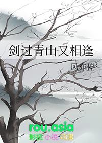 剑过青山又相逢免费阅读