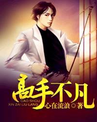 高手不凡扫书