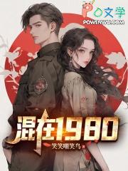 混在1980全文免费阅读