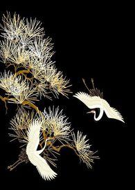 西京烬余录原著免费阅读