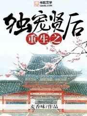 重生之独宠贤后by