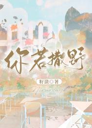 你若撒野我把酒奉陪免费阅读