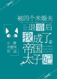 我有四个未婚夫