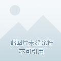 全民领主我的亡灵骷髅亿亿万最新章
