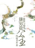 贫穷贵公主晋江