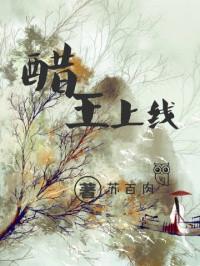 醋王上线十三
