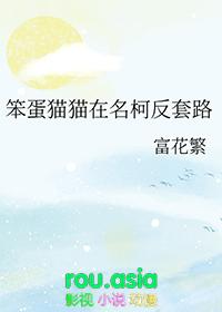 笨蛋宠物
